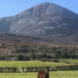 Croagh Patrick - Westport