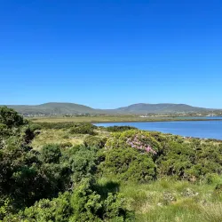 Great Western Greenway - Westport
