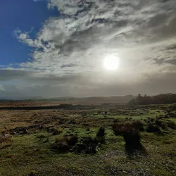 Great Western Greenway - Westport