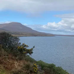Great Western Greenway - Westport