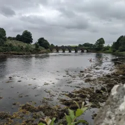 Great Western Greenway - Westport