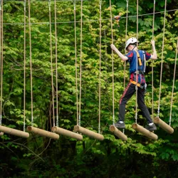 Westport House Pirate Adventure Park - Westport