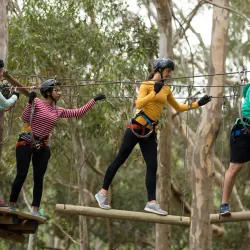 Westport House Pirate Adventure Park - Westport