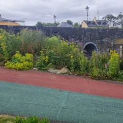 Westport Quay - Westport