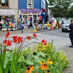 Westport Quay - Westport