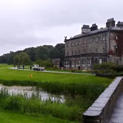 Westport Quay - Westport