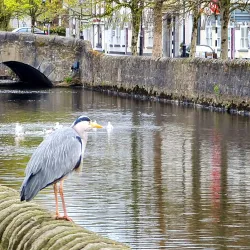 Westport Quay - Westport