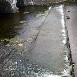 Westport Quay - Westport