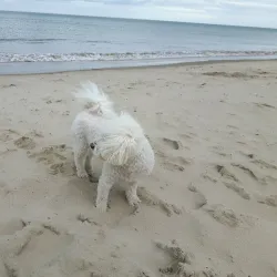 Curracloe Beach - Wexford