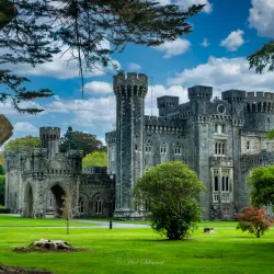 Johnstown Castle Estate & Gardens - Wexford