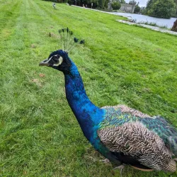Johnstown Castle Estate & Gardens - Wexford