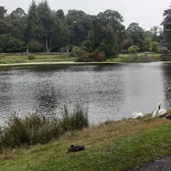 Johnstown Castle Estate & Gardens - Wexford