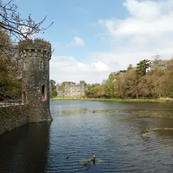 Johnstown Castle Estate & Gardens - Wexford