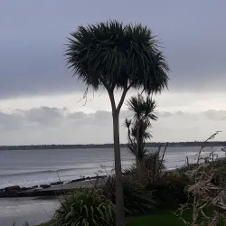 Rosslare Strand - Wexford