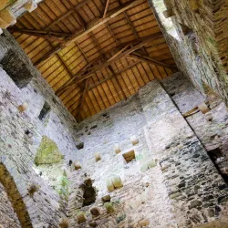 Tintern Abbey - Wexford