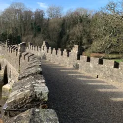 Tintern Abbey - Wexford