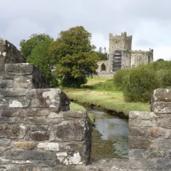 Tintern Abbey - Wexford