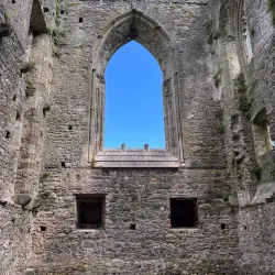 Tintern Abbey - Wexford