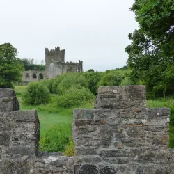 Tintern Abbey - Wexford