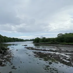 Tintern Abbey - Wexford
