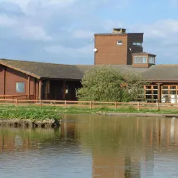 Wexford Wildfowl Reserve - Wexford