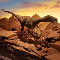 Wexford Wildfowl Reserve - Wexford