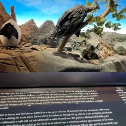 Wexford Wildfowl Reserve - Wexford