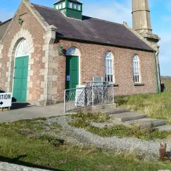Wexford Wildfowl Reserve - Wexford