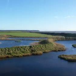 Wexford Wildfowl Reserve - Wexford