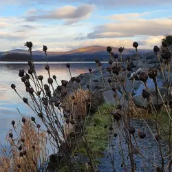Britannia Bridge and the Blessington Lakes - Wicklow