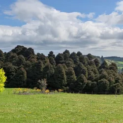 Kilmacurragh Botanic Gardens - Wicklow