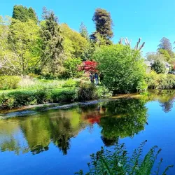 Mount Usher Gardens - Wicklow