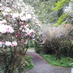 Mount Usher Gardens - Wicklow