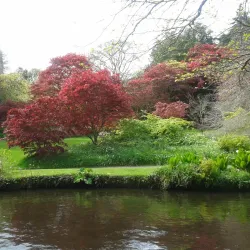 Mount Usher Gardens - Wicklow