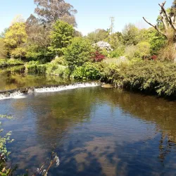 Mount Usher Gardens - Wicklow