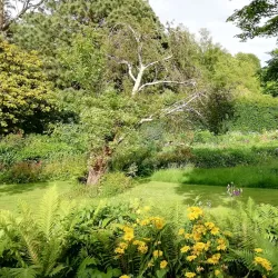 Mount Usher Gardens - Wicklow