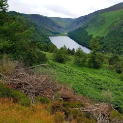Wicklow Mountains National Park - Wicklow