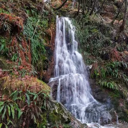 Wicklow Mountains National Park - Wicklow