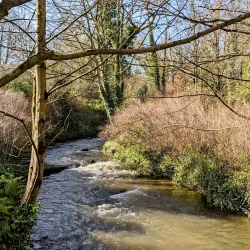 Silverdale Glen - Ballasalla