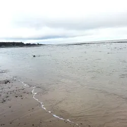 Castletown Heritage Centre - Castletown