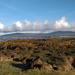 Herring Tower - Castletown