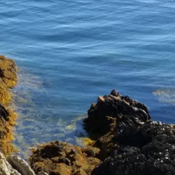 Herring Tower - Castletown