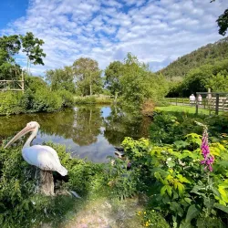 Ballaugh Curraghs Nature Reserve - Jurby