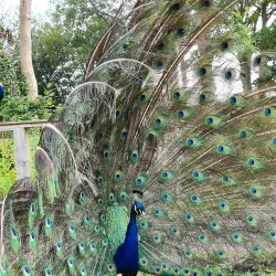Ballaugh Curraghs Nature Reserve - Jurby