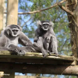 Ballaugh Curraghs Nature Reserve - Jurby