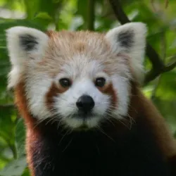 Ballaugh Curraghs Nature Reserve - Jurby
