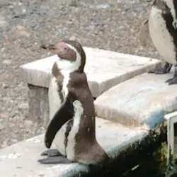 Ballaugh Curraghs Nature Reserve - Jurby
