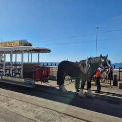 Manx Electric Railway (Jurby Stop) - Jurby