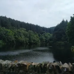 Ballure Reservoir - Onchan