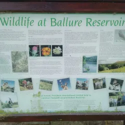 Ballure Reservoir - Onchan